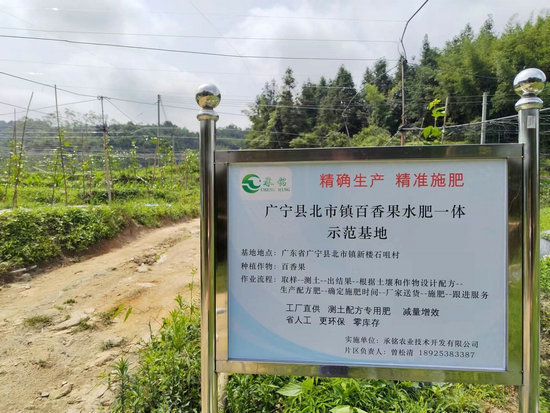 廣寧百香果基地
