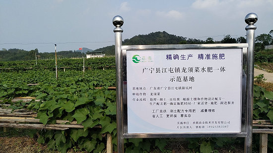 廣寧江屯鎮龍須菜基地