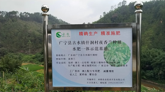 夜香蘭種植