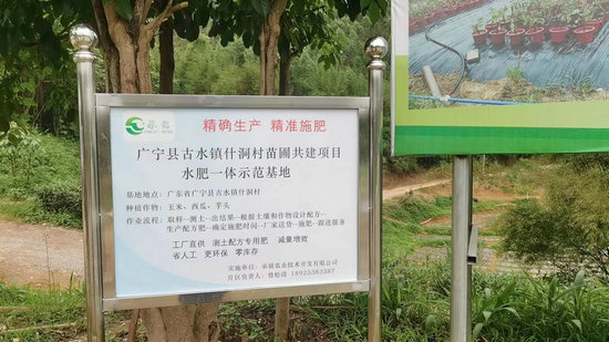 古水鎮什洞村苗圃