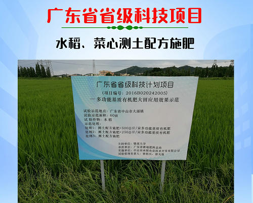 水稻配方肥示范