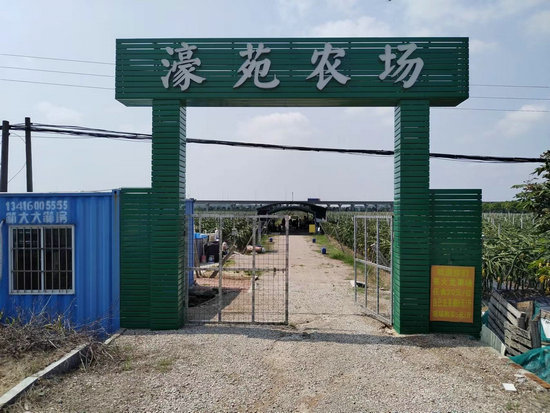 中山火龍果示范基地（豪苑農場(chǎng)）